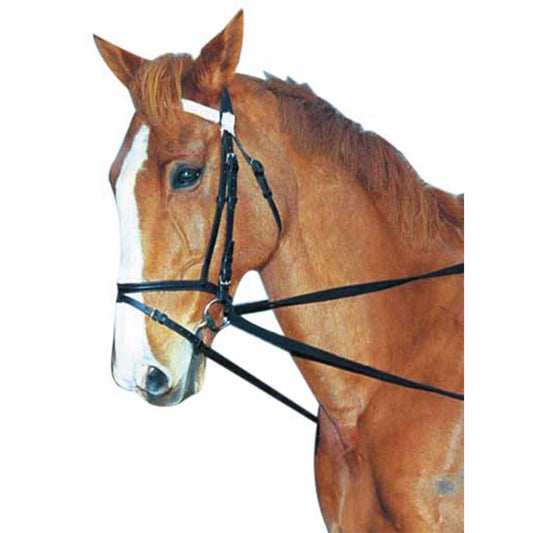 Draw Reins Webbing