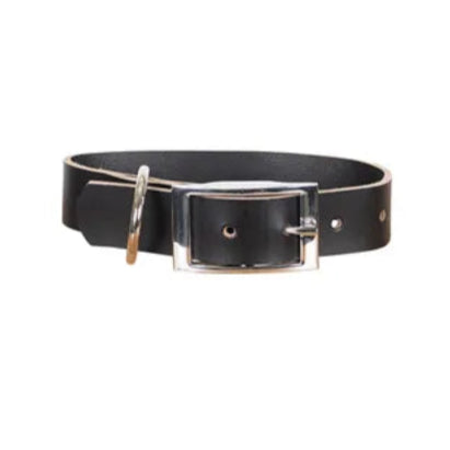 Mog & Bone Genuine Leather Dog Collar – Black (XS)