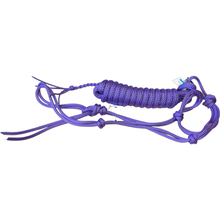 Load image into Gallery viewer, Mini Size - Bright Colored Halters &amp; 8ft Lead
