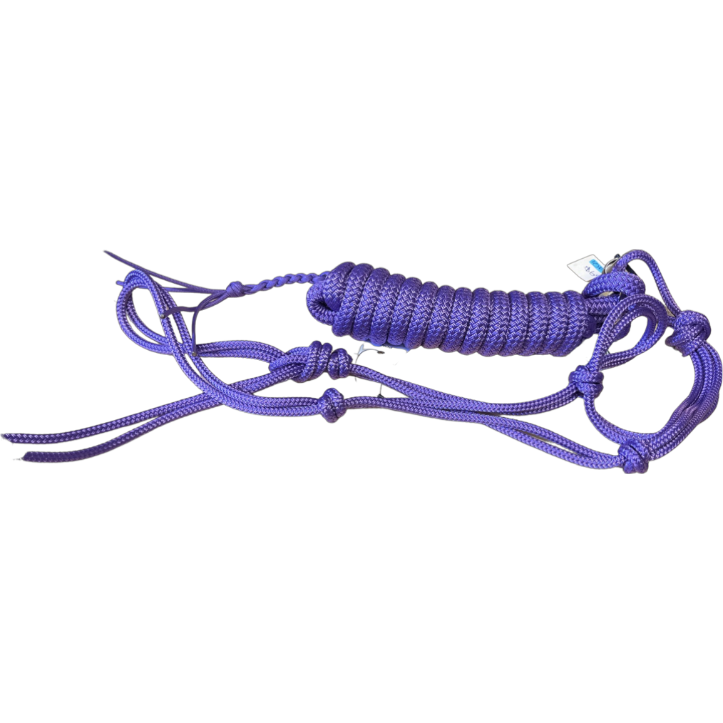 Mini Size - Bright Colored Halters & 8ft Lead