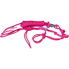 Load image into Gallery viewer, Pony size - Bright Colored 6mm Halters with 10ft Lead
