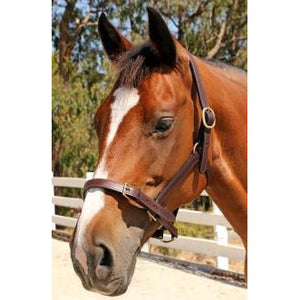 Showcraft Leather Headstall - Cob