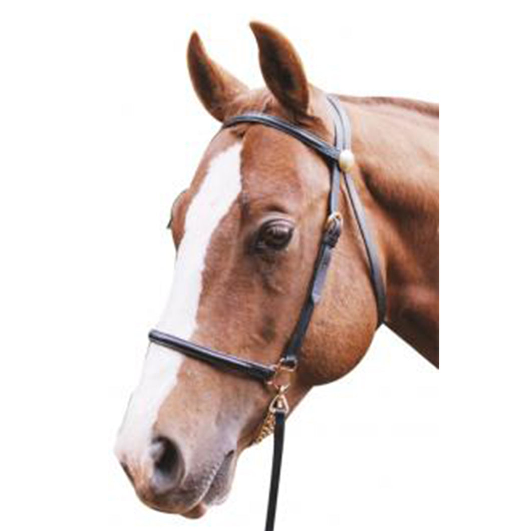 In Hand Leather Bridle - Black with lead