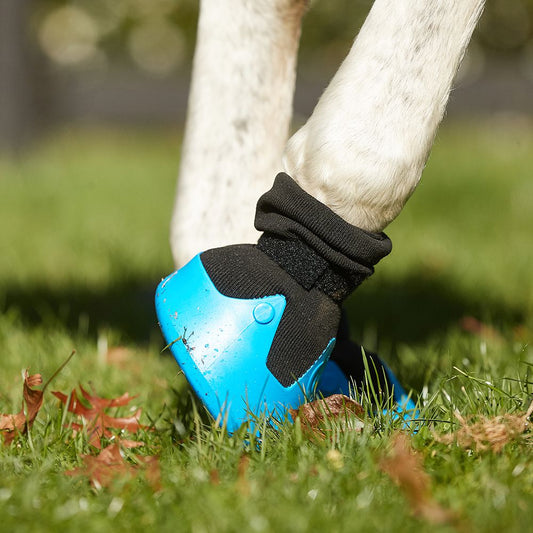 Tubbease - Hoof Sock Blue (155mm) cpt